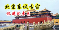 大鸡巴曰小逼逼免费片中国北京-东城古宫旅游风景区